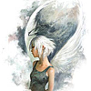 anidar